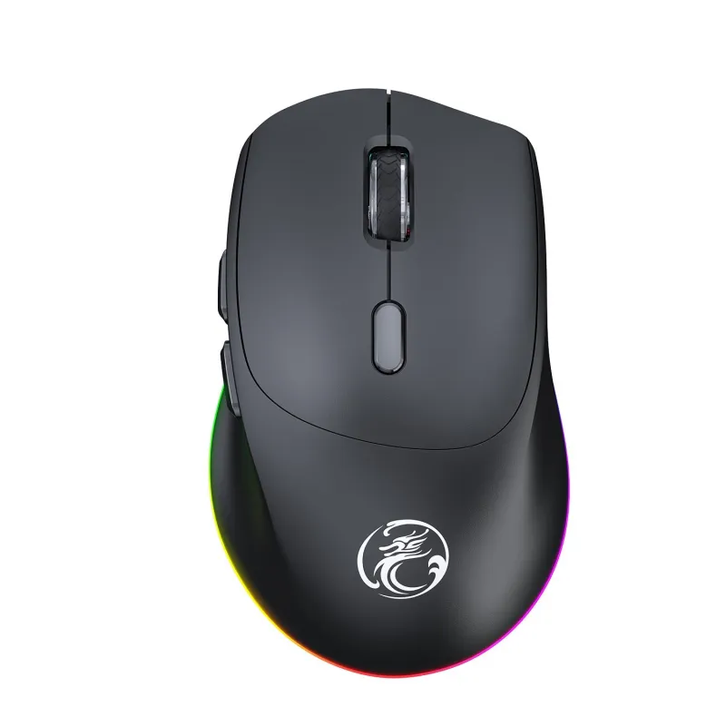 Souris Gaming Sans Fil Silencieuse RGB 4000DPI Rechargeable