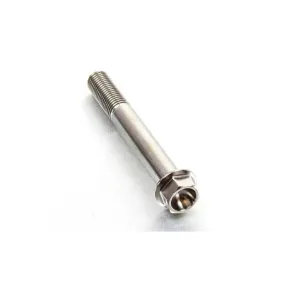 Vis Titane tête Hexagonale M10 x 1.25mm x 70mm